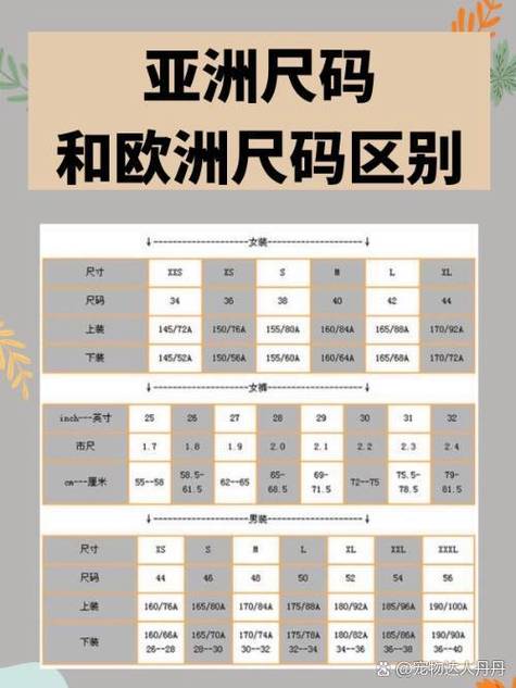 亚洲尺码和欧洲尺码的区别游戏截图
