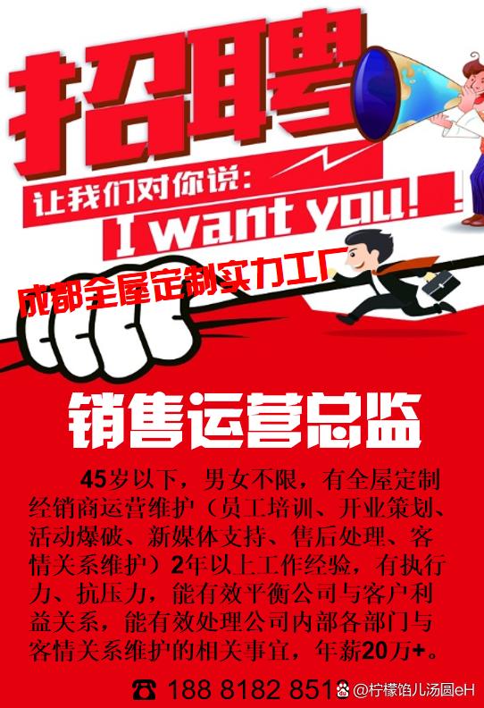 招聘销售总监的要求