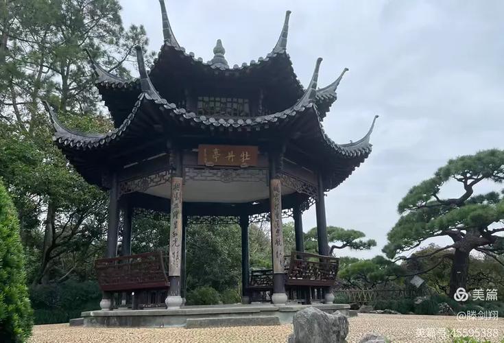 紫书园