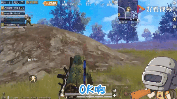 和平精英毒圈有多少级