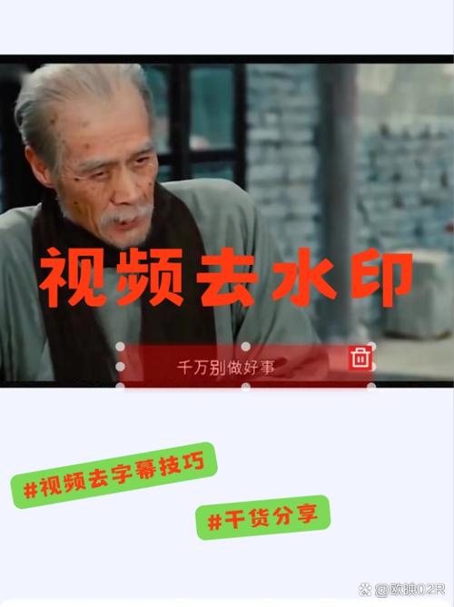 视频全屏后看不见底下字幕