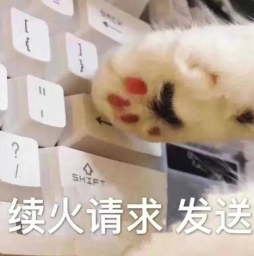 超过24小时没续火花