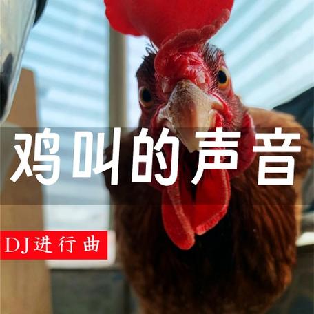 抖音上很火的鸡叫DJ