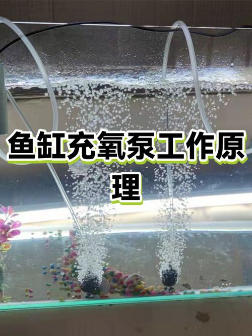 鱼缸氧气泵费电吗
