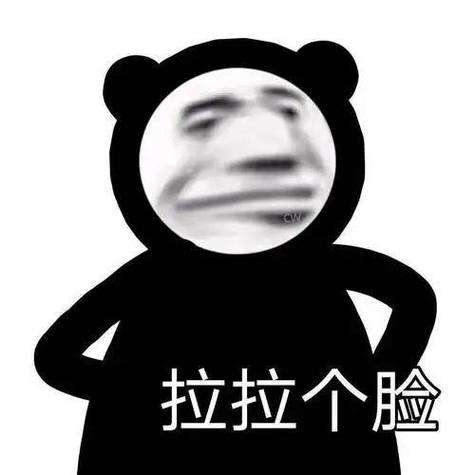 人脸熊猫网图截图