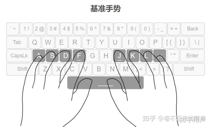 我打字太慢图标