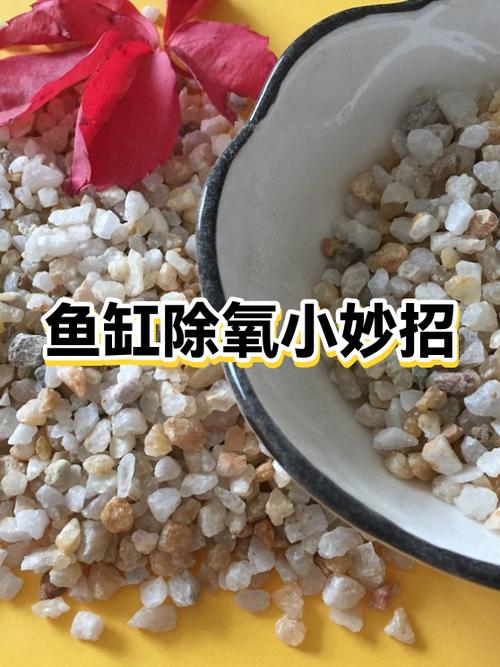 新鱼入缸打氧的6大忌
