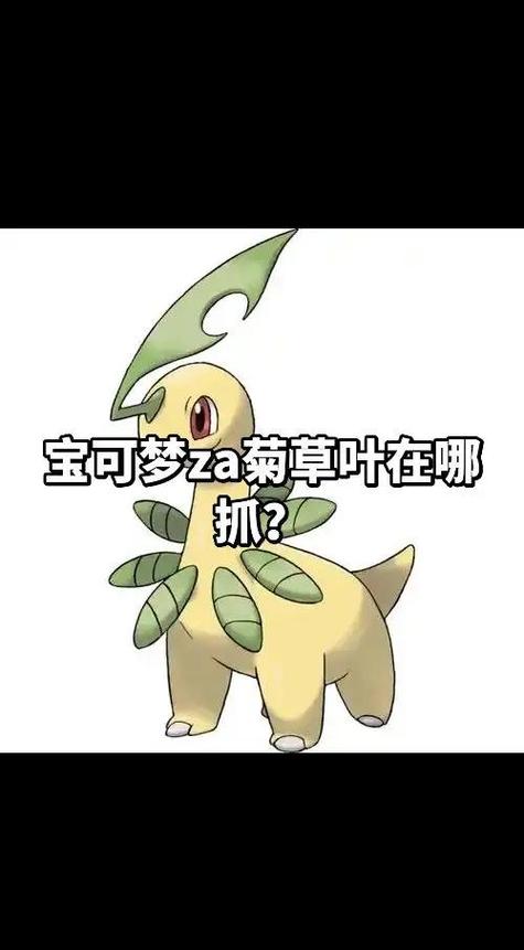 口袋妖怪心金493菊草叶怎么遇不到