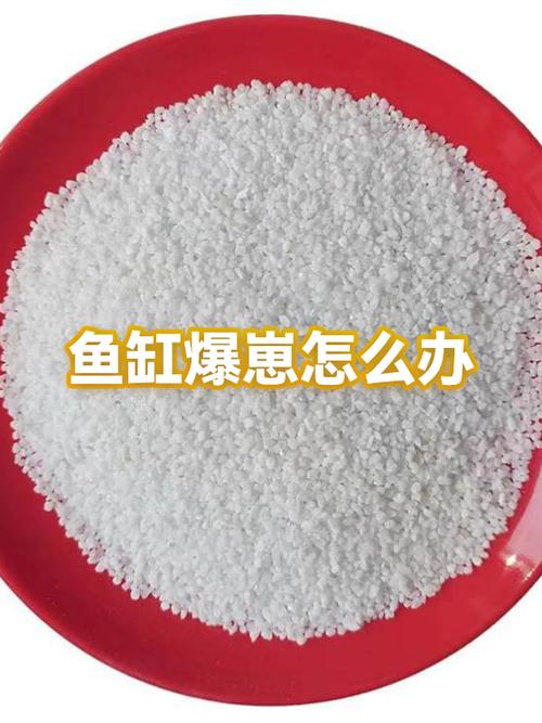 鱼缸爆了怎么办