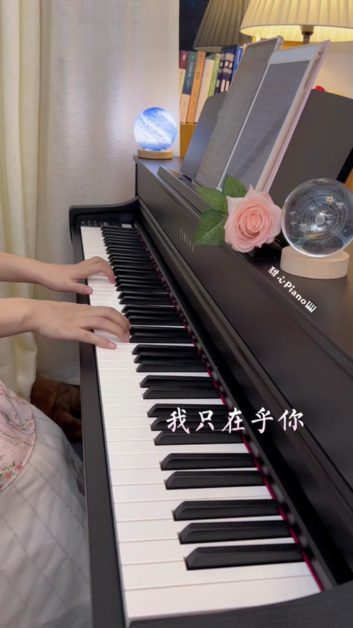 钢琴曲我只在乎你