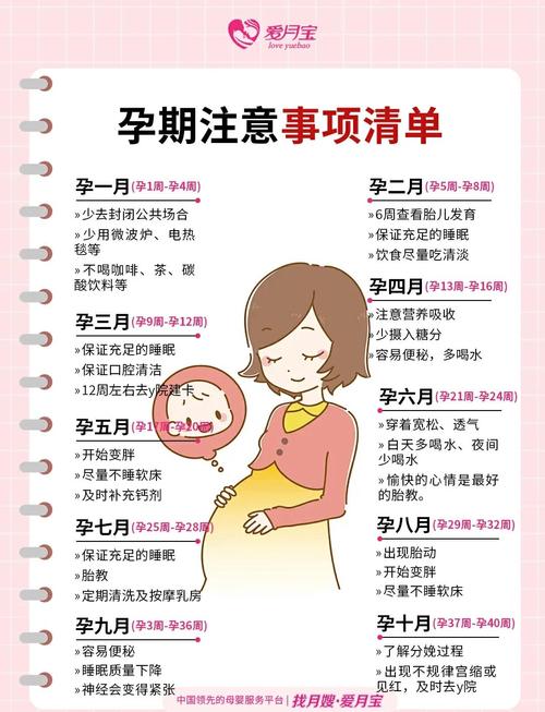 无人岛社员怀孕需要多少天