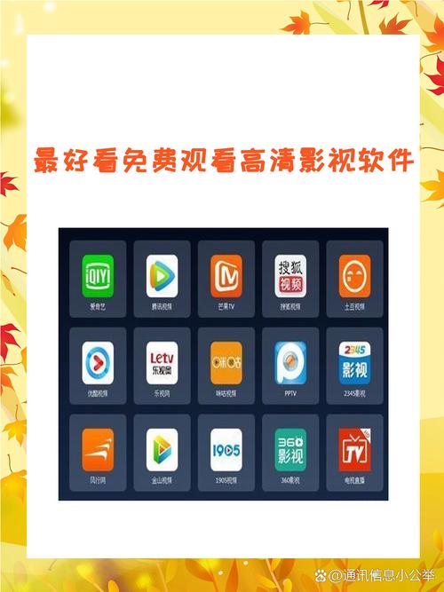 金正视频播放器
