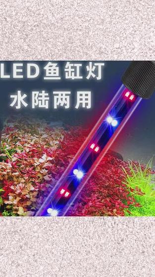 鱼缸里的led灯费电吗