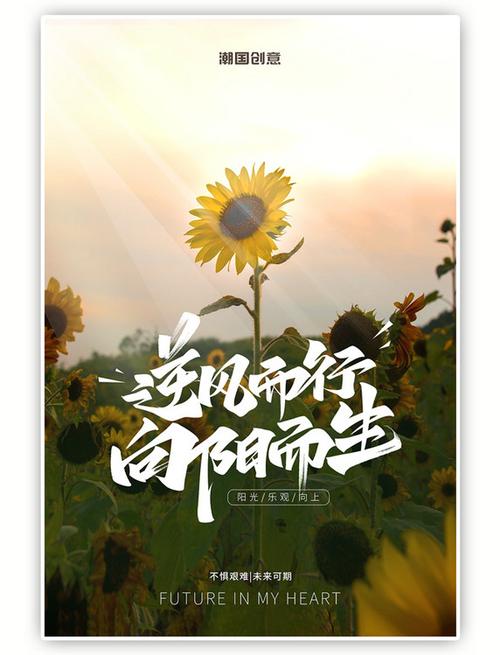 当生活不尽人意的时候