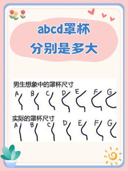 E罩杯大还是D罩杯大图标