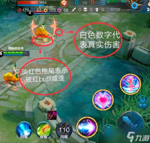 王者荣耀游戏大区是什么