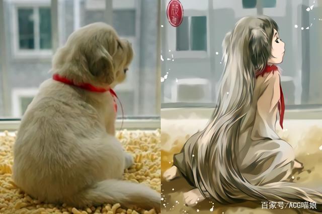 漫画家云端怎么用