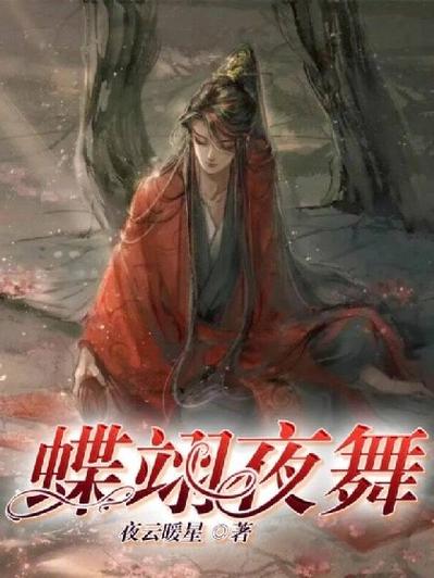 夜舞小说网