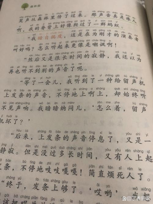黑旋风读音争议有哪些