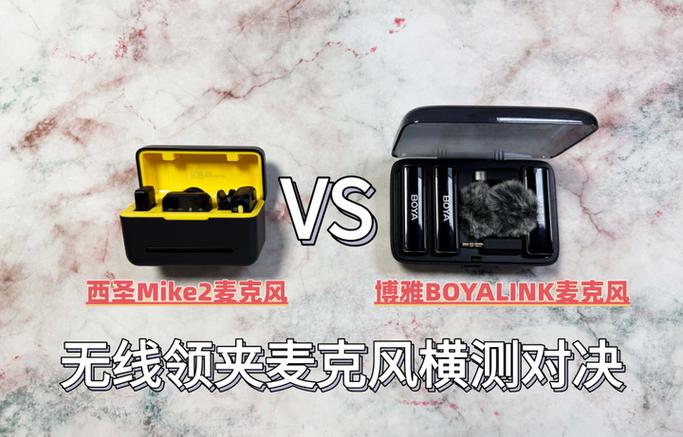 手机主麦克风和副麦克风缩略图