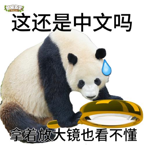 熊猫发出汽笛声是什么意思啊