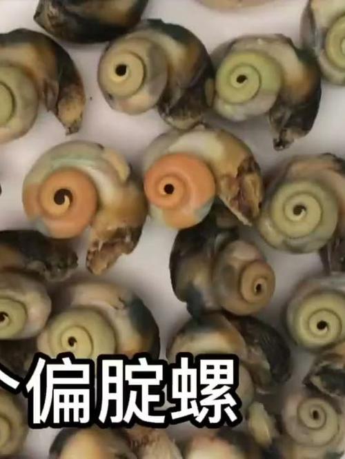 偏腚螺煮完扣不出来截图