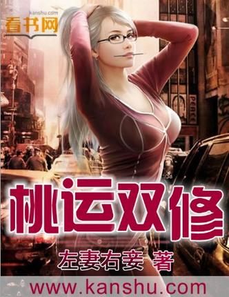 双修双飞小说