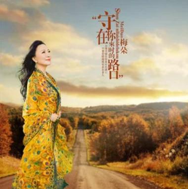 《梅朵》女声独唱截图