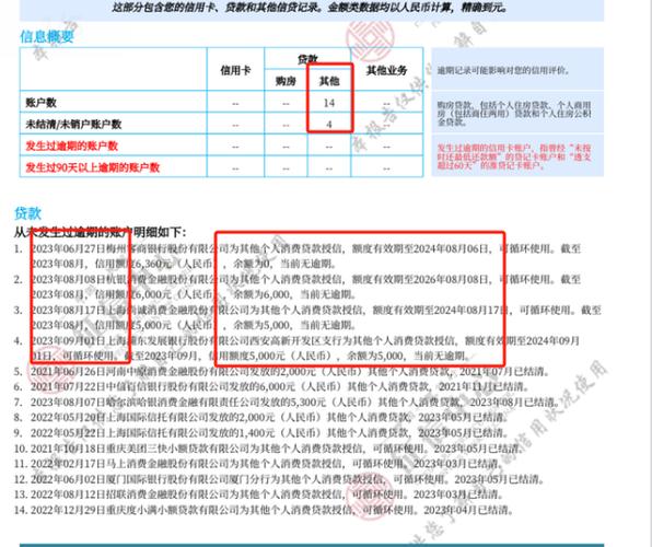 怎么查询名下的网贷账户有多少