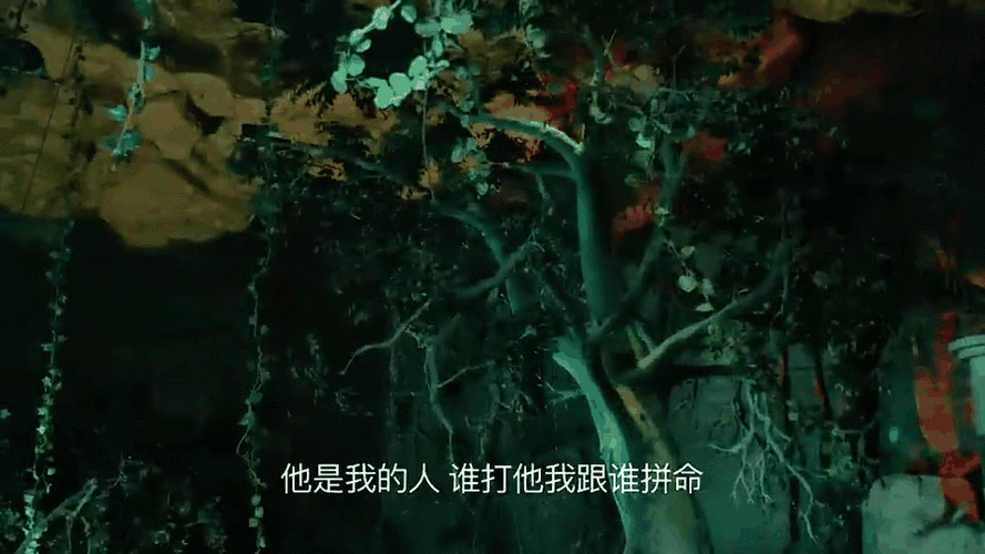 影视片段