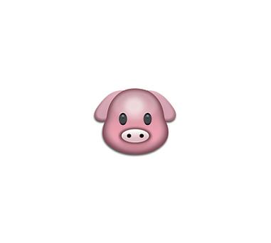 猪头 emoji 名称截图
