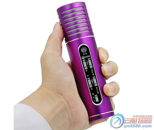 屁颠虫音响话筒一体f2多少钱?