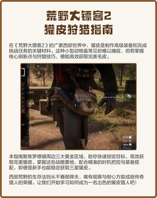 荒野大镖客2怎么储存毛皮