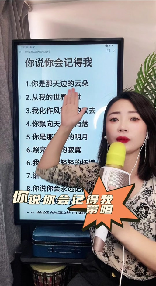 你说你会记得我原唱游戏截图