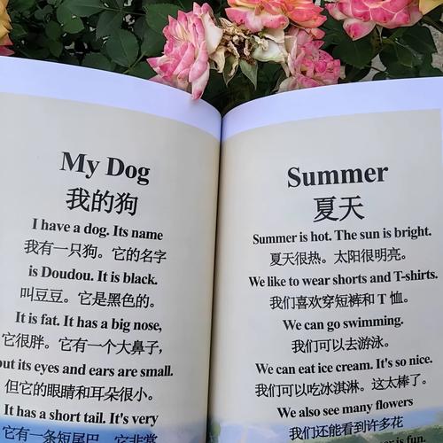 笔记本音频输入在哪里