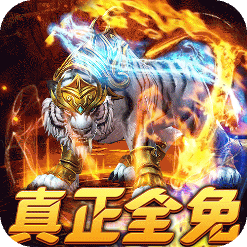 星币是哪个平台