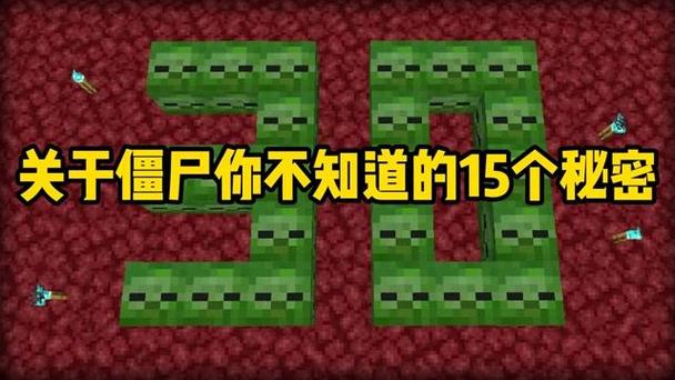 mc僵尸的秘密
