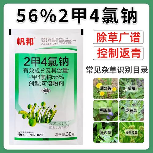晴天除草最新版