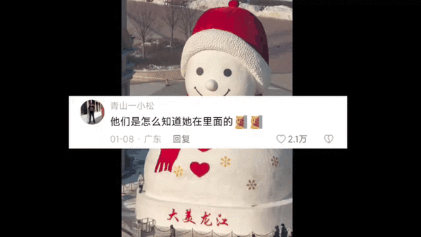 雪人视频的打开方法截图