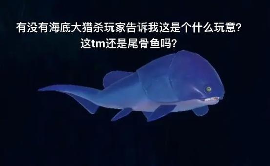 海底大猎杀下载官方入口截图