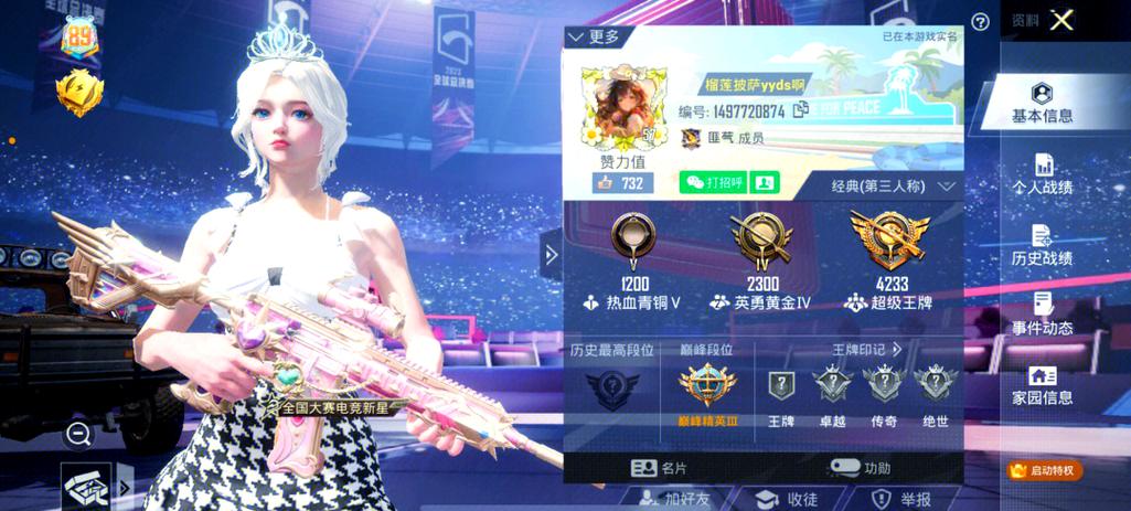 天之蓝和平精英v10