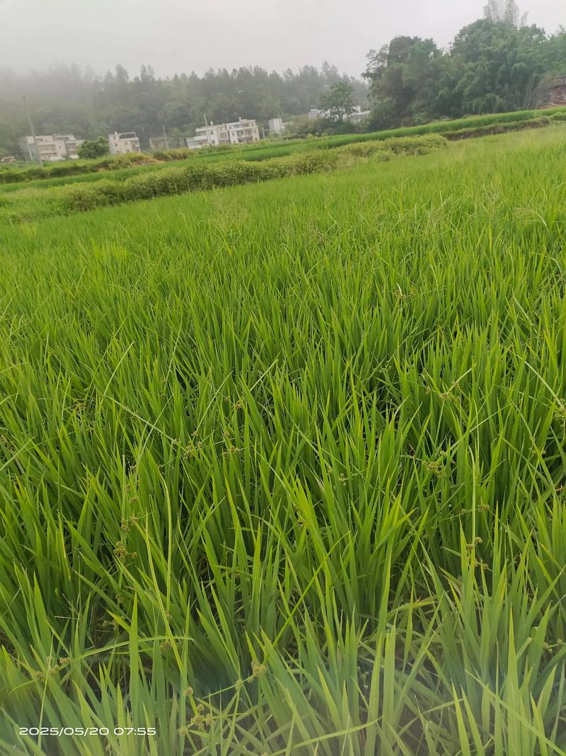 宽禾投资(上海)有限公司