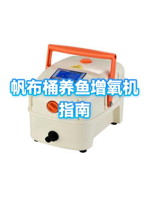养小鱼需要增氧泵吗
