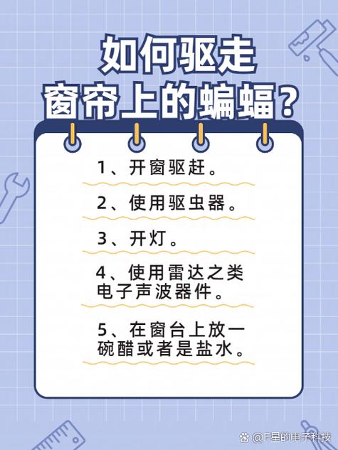 赶走蝙蝠最简单的方法