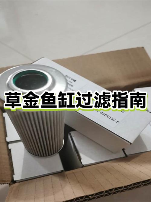 小鱼缸最好的过滤方式缩略图