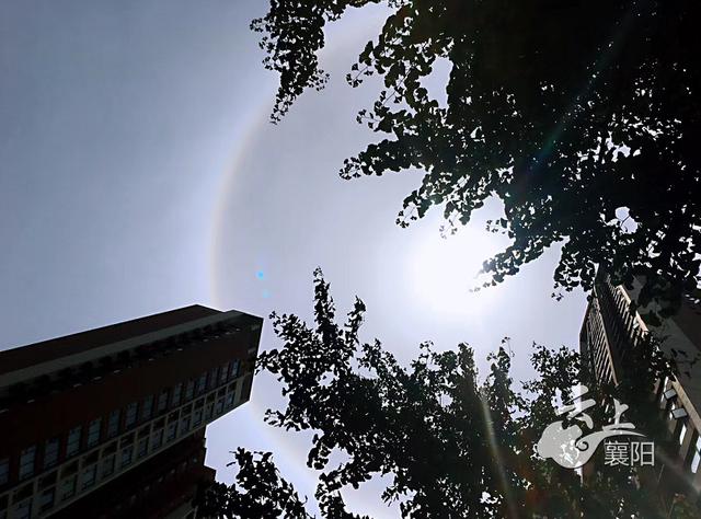 迎着太阳拍照旁边有个小圆点图标