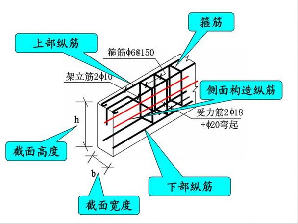 构造筋
