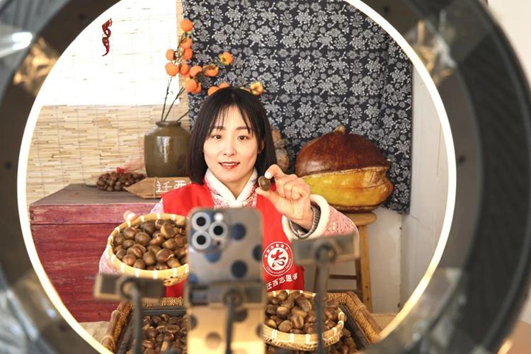 板栗直播现在叫什么图标