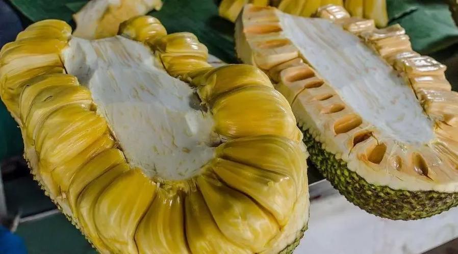菠萝菠萝蜜和菠萝蜜的图标