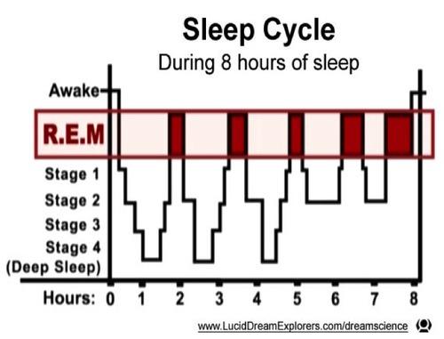 sleep cycle安卓版